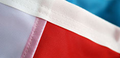 Détail drapeau Appenzell-Rhodes exterieures
