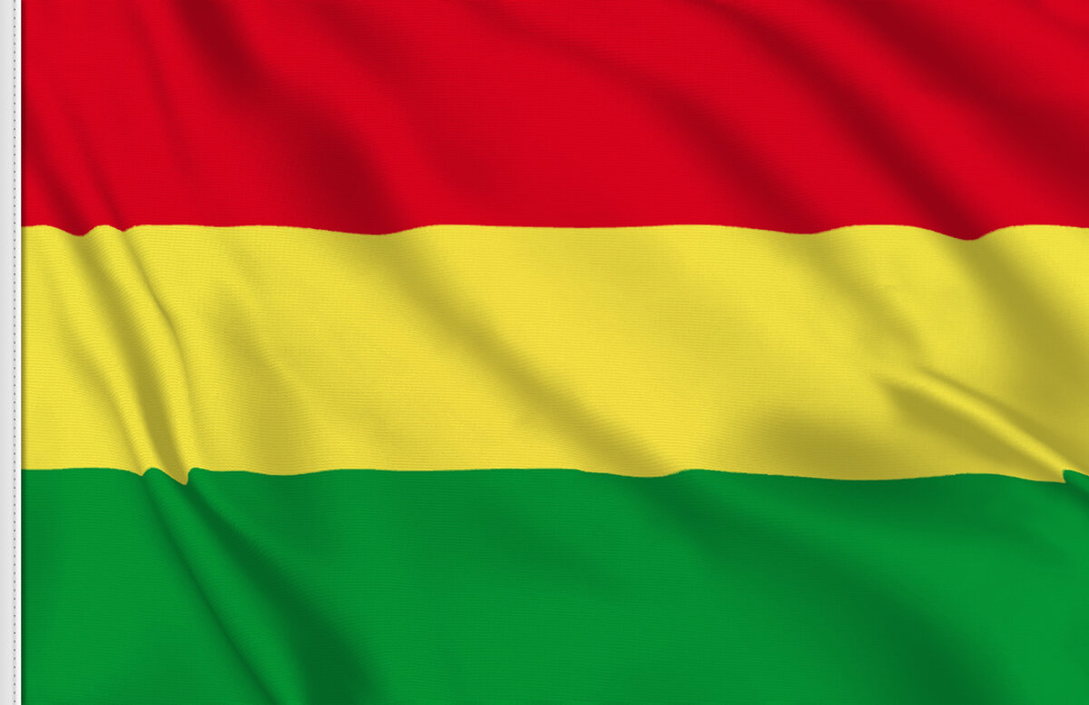 T-shirt Bolivie Drapeau Armoiries - Homme - Coton - Neuf Avec étiquettes