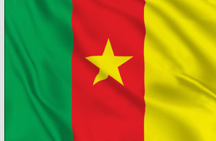 Drapeau de table Cameroun