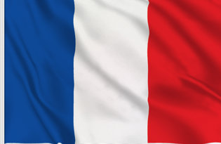 Drapeau de table France