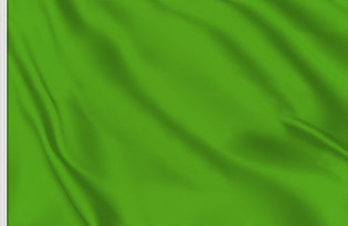 Drapeau de course vert