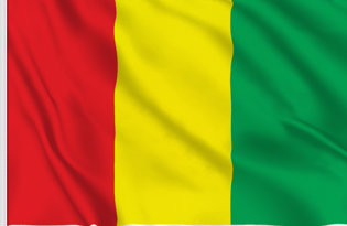 Drapeau de table Guinee