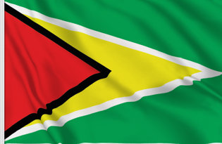 Drapeau de table Guyana