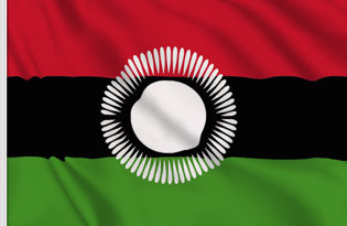 Drapeau Malawi (2010-2012)