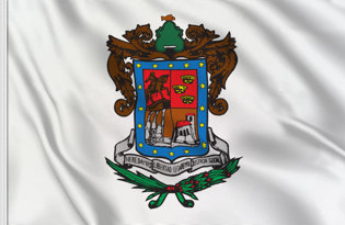 Drapeau Michoacan