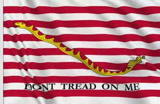 Drapeau Etats-Unis (Marine militaire)