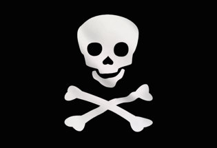 Drapeau Pirate Jolly Roger