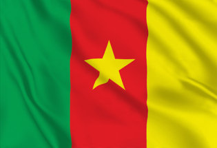 Drapeau Camerounais