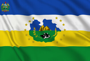 Drapeau Guárico