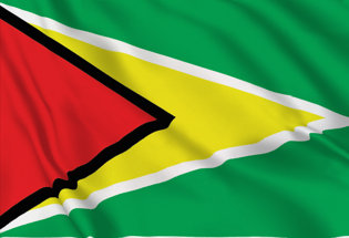 Drapeau Guyana