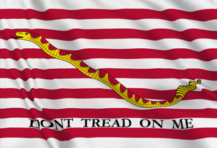 Drapeau Etats-Unis (Marine militaire)