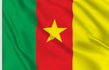 Drapeau Camerounais