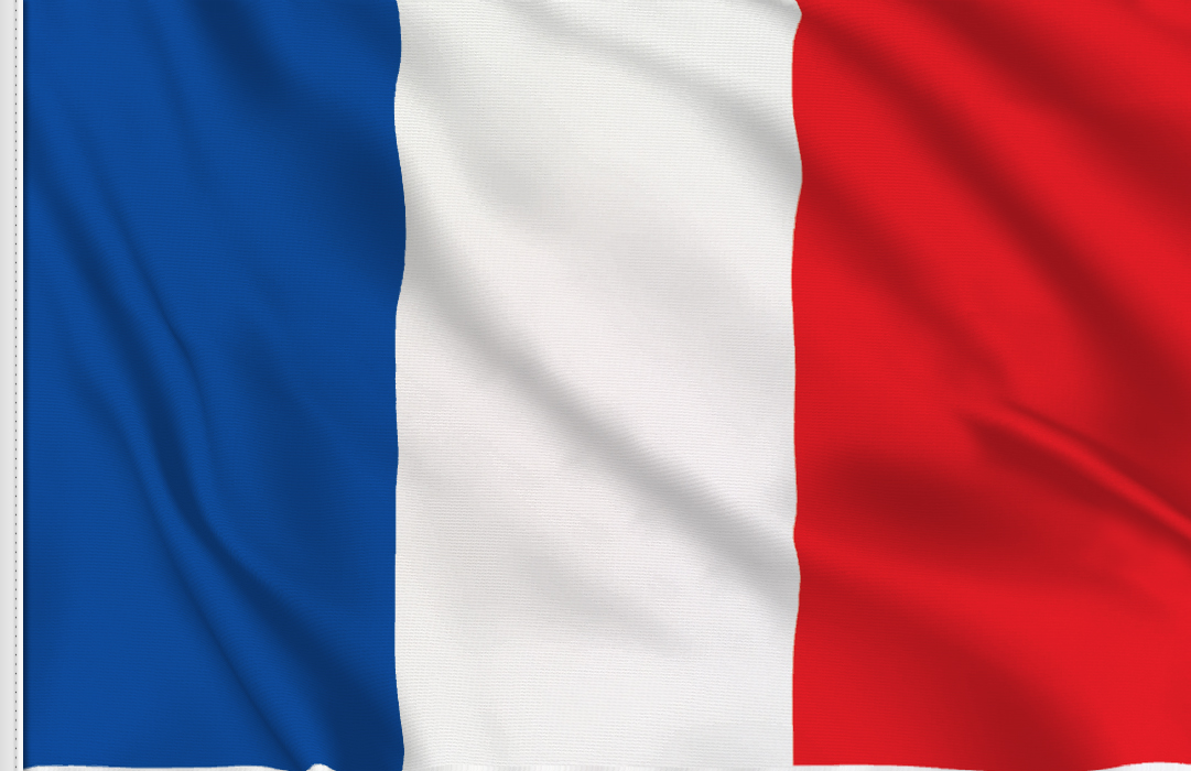 Kit 6 drapeaux tricolores au choix - Vente en ligne | Flagsonline.fr