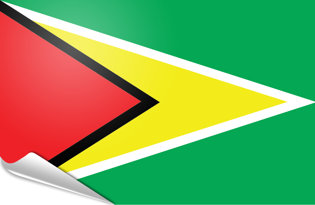 Drapeau adhésif Guyana