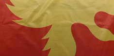 Impression à sublimation thermique drapeau Papouasie Nouvelle-Guinee