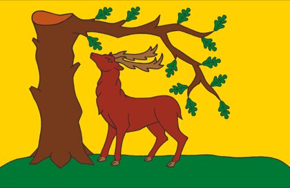 Drapeau Berkshire