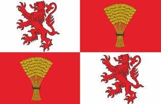 Drapeau Province de la Gascogne