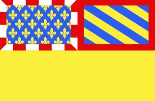 Drapeau Département de la Côte d'Or