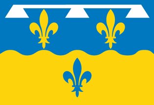 Drapeau Département du Loir et Cher