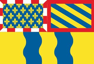 Drapeau Département de la Saône et Loire