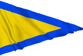 Drapeau Premier Substitut