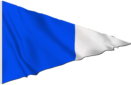 Drapeau Deuxième Substitut