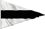 Drapeau Troisième Substitut